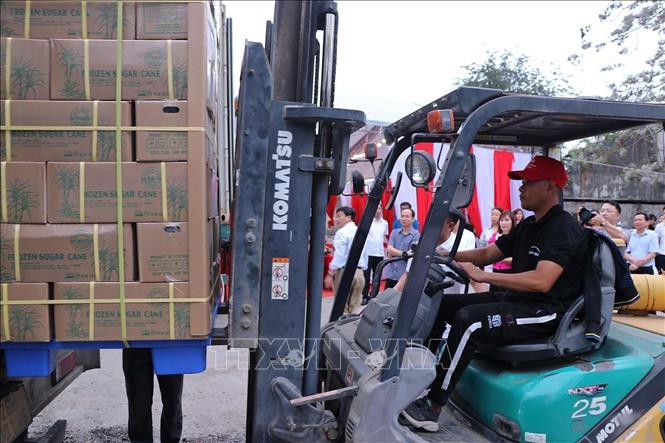 Hòa Bình xuất khẩu lô hàng mía tươi đầu tiên sang Hoa Kỳ Chú thích ảnh
