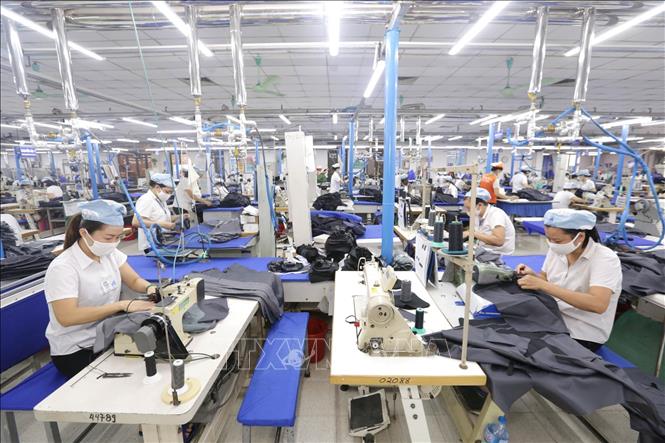 Cảnh báo lừa đảo trong xuất khẩu sang thị trường Nigeria Chú thích ảnh