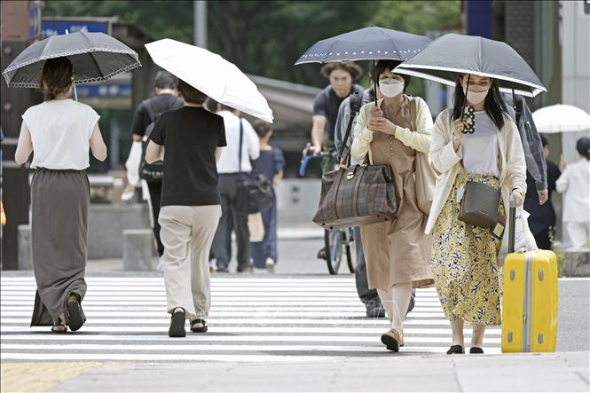 Thủ đô Tokyo trải qua đợt nắng nóng tồi tệ nhất trong 150 năm qua Chú thích ảnh