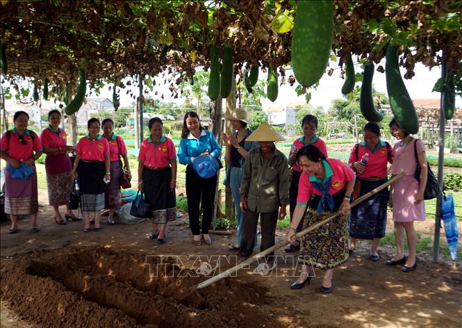 Hội Liên hiệp Phụ nữ Lào thăm hữu nghị tỉnh Quảng Nam Chú thích ảnh