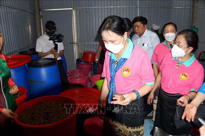 Hội Liên hiệp Phụ nữ Lào thăm hữu nghị tỉnh Quảng Nam Chú thích ảnh