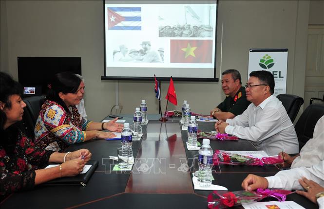 Tôn vinh tình hữu nghị đặc biệt Việt Nam - Cuba Chú thích ảnh