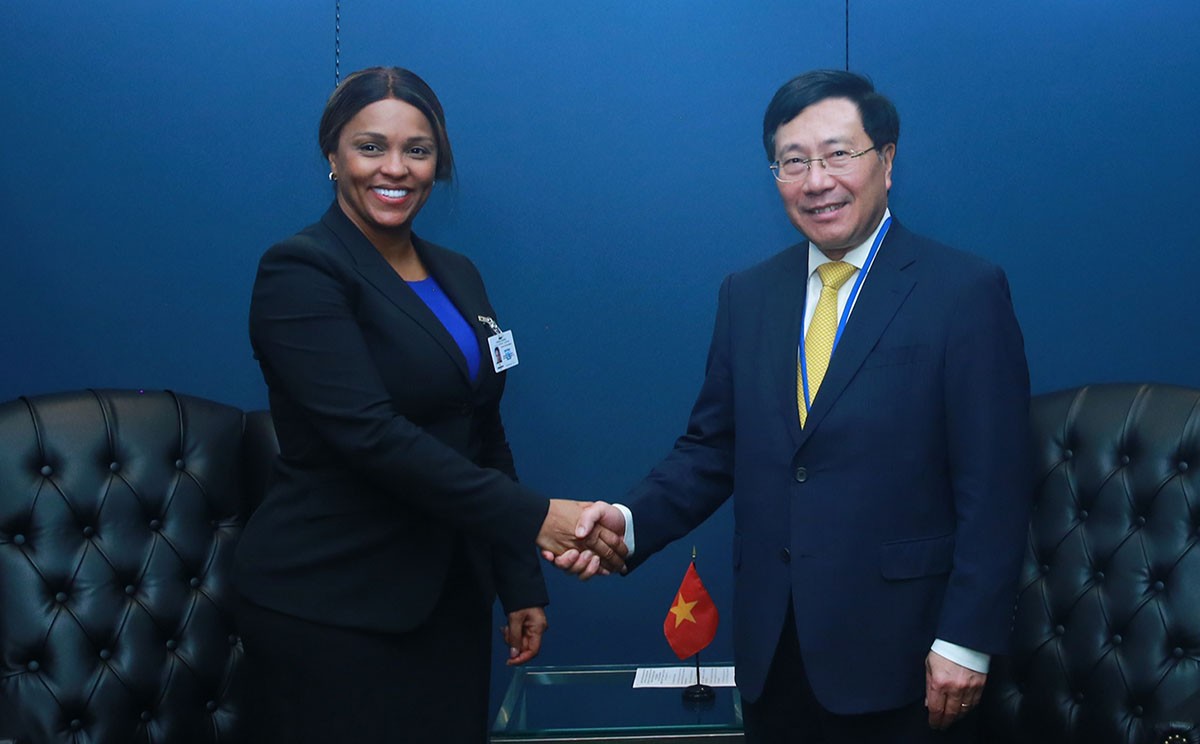 Deputy PM Pham Binh Minh meets FM Guinea Bissau Deputy PM Pham Binh Minh meets FM Guinea Bissau