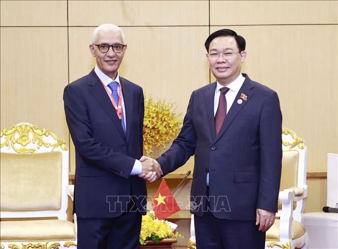 Việt Nam và Maroc nhất trí tăng cường hợp tác cả kênh song phương và đa phương Chú thích ảnh