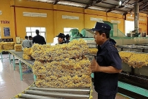 ចិន​បន្ត​បង្កើន​ការ​នាំ​ចូល​កៅស៊ូ​ពី​វៀតណាម