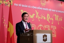 បុណ្យចូលឆ្នាំថ្មីប្រពៃណីវៀតណាមឆ្នាំ ២០២៣ (ឆ្នាំថោះ បញ្ចស័ក ២០២៣)៖ ប្រជាជនវៀតណាមក្នុងប្រទេសសឹង្ហបុរីរំភើបរីករាយស្វាគមន៍ឆ្នាំថ្មីប្រពៃណី