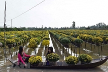 វៀតណាមបង្កើន​ទេសចរណ៍សហគមន៍​ថ្មីៗ​ ដើម្បី​ទាក់ទាញ​ទេសចរ និង​ចំណូល​សម្រាប់​ប្រជាកសិករ​