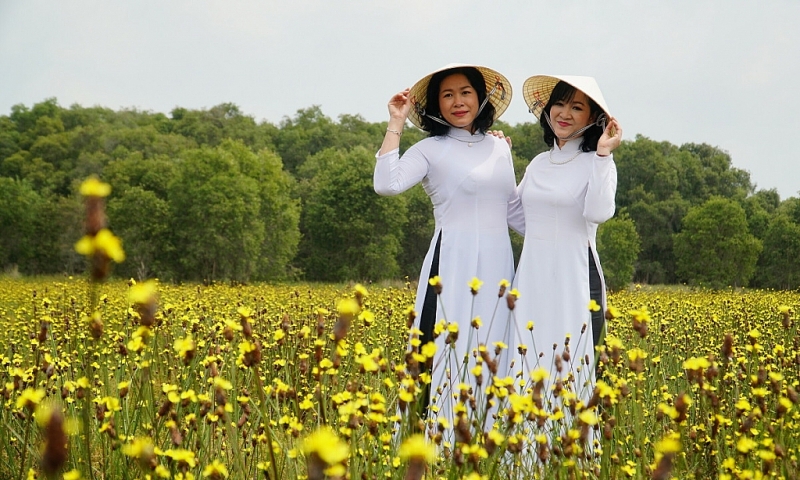 ផ្កាស្មៅថ្នក់ទឹក ( ផ្កាលឿង ) - ផ្កាធម្មតានៃតំបន់ទន្លេខាងលិច ប្រភេទផ្កានិមិត្តរូបនៃតំបន់ទន្លេខាងលិច