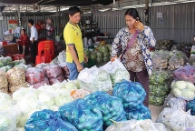 ប្រទេស​វៀតណាម ចាប់​ផ្តើម​បើក​ការ​នាំចេញ​បន្លែ​មក​កម្ពុជា​វិញ បន្ទាប់​ពី​ផ្អាក​រយៈពេល​ខ្លី