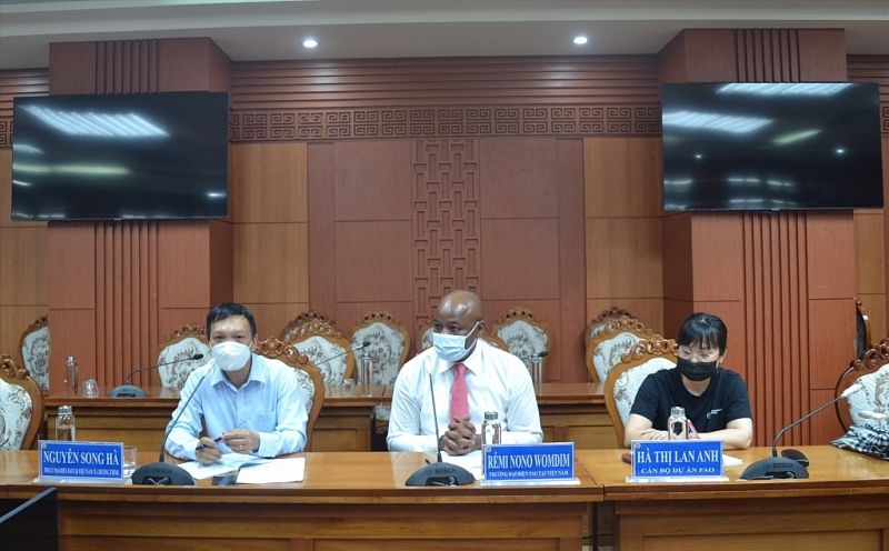 អង្គការ FAO សហការជាមួយខេត្ត Quang Nam ក្នុងវិស័យកសិកម្ម