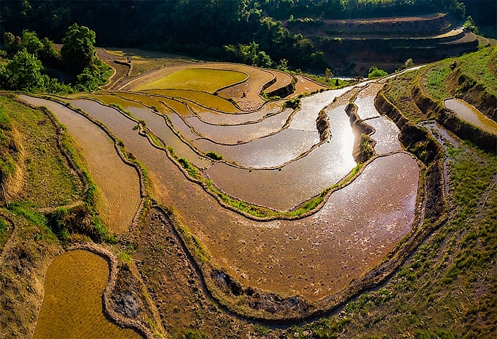 គយគន់វាលស្រែជំរាលភ្នំនៅរដូវវស្សា