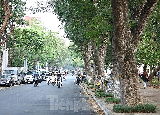 គយគន់ផ្លូវថ្មើរជើងជុំវិញបឹង Thien Quang ដែលនឹងដាក់ឱ្យដំណើរការ