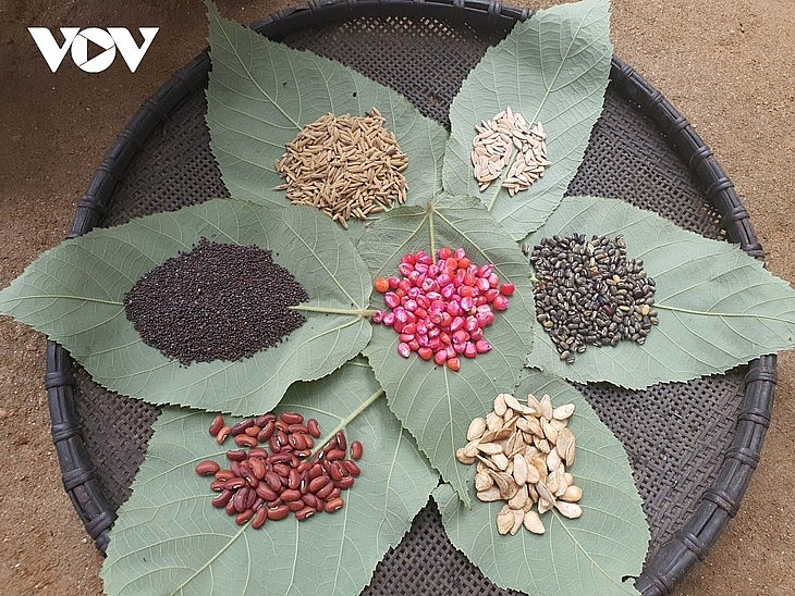 ស្វែងយល់អំពីទំនៀមទំលាប់កំចាត់សត្វល្អិតចង្រៃរបស់ជនជាតិ Dao ក្រហម នៅខេត្ត Yen Bai