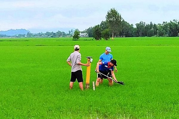 វៀតណាមដាក់ឲ្យដំណើរការ App កម្មវិធីតាមទូរស័ព្ទ ដើម្បីជួយស្រោចស្រង់ដំណាំស្រូវរបស់កសិករ