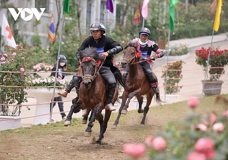 ការប្រណាំងដ៏គួរឱ្យរំភើប 