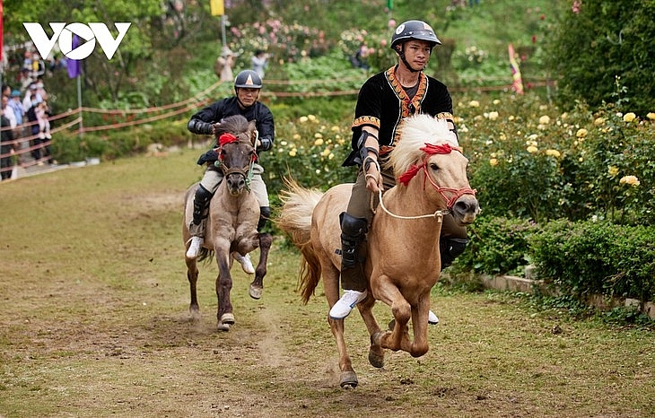 ការប្រណាំងដ៏គួរឱ្យរំភើប 