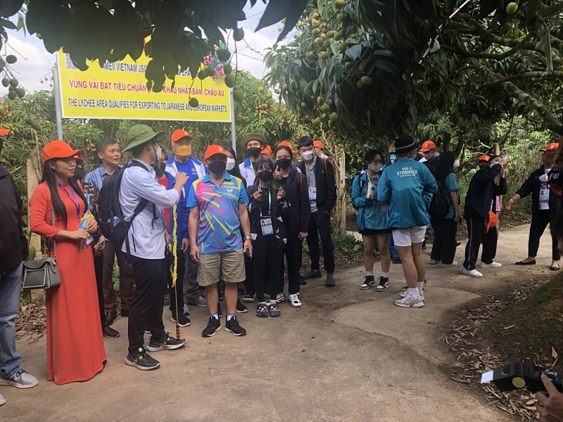 SEA Games 31 អត្តពលិកមកពីជុំវិញពិភពលោកមានចិត្តចង់ទៅលេងតំបន់ទេសចរណ៍ល្បីៗរបស់វៀតណាម