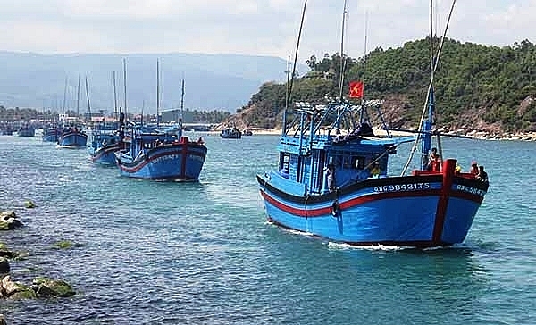 ខេត្ត Ninh Thuan៖ ត្រួតពិនិត្យយ៉ាងតឹងរឹងនូវសកម្មភាពរបស់នាវានេសាទ ខេត្ត Ninh Thuan៖ ត្រួតពិនិត្យយ៉ាងតឹងរឹងនូវសកម្មភាពនាវានេសាទ