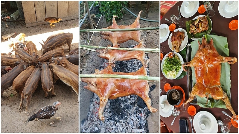 ម្ហូបប្រចាំតំបន់ «ជ្រូកកណ្ដុរអាំង» កំពុងពេញនិយមនៅកម្ពុជា