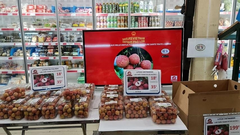 សហគ្រាសបារាំង ពន្លឿនផែនការនាំចូលផ្លែគូលេនរបស់វៀតណាម