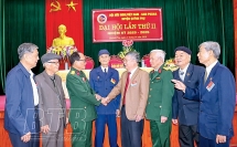 សមាគមមិត្តភាពកម្ពុជា - វៀតណាមនៅខេត្តថៃប៊ិញ៖ ពូនជ្រុំចំណងសាមគ្គីភាពមិត្តភាពរវាងវៀតណាមនិងកម្ពុជា