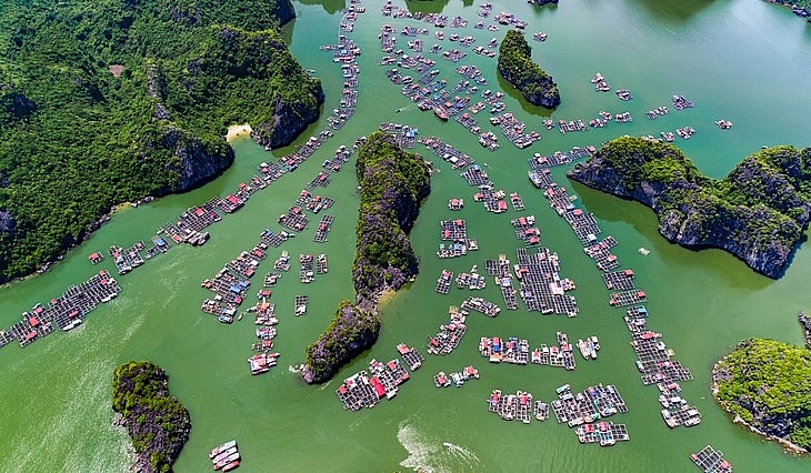 សម្រស់ភូមិនេសាទវៀតណាម