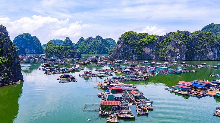 សម្រស់ភូមិនេសាទវៀតណាម