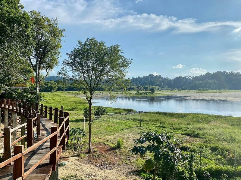 Cẩm nang: Hành trình trekking độc đạo cung đường du lịch Bàu Sấu (petrotimes.vn)
