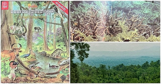 ប្រព័ន្ធអេកូឡូស៊ី៣ប្រភេទ លេចធ្លោជាងគេនៅកម្ពុជា ប្រព័ន្ធអេកូឡូស៊ី៣ប្រភេទ លេចធ្លោជាងគេនៅកម្ពុជា
