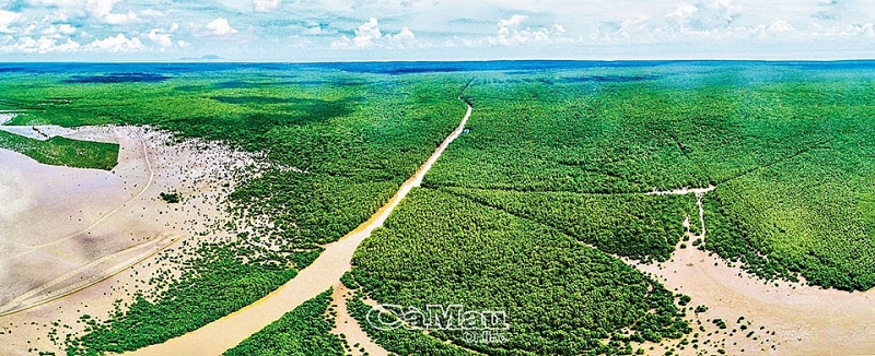 ទេសចរណ៍បៃតង នៅMui Ca Mau