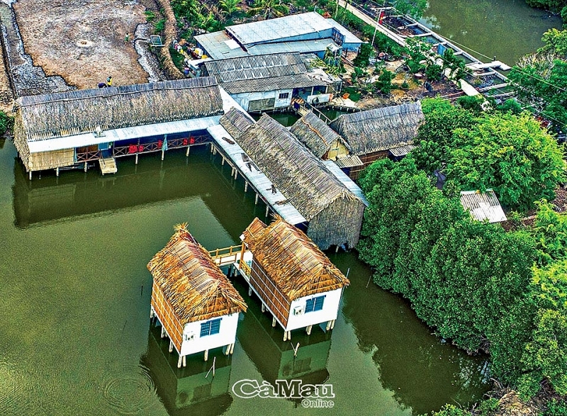 ទេសចរណ៍បៃតង នៅMui Ca Mau