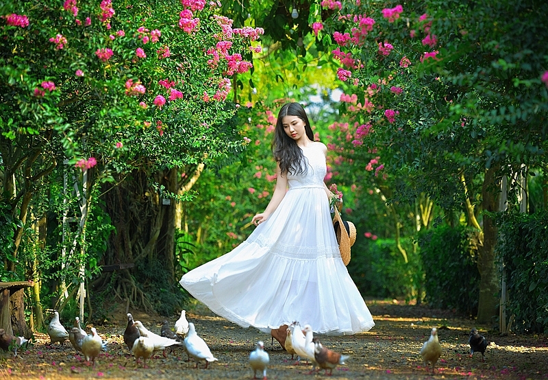 ​វិថី​ផ្កាTuong Vi ចំរុះព៌ណដ៏ប្លែកៗនិងស្រស់​ស្អាត​បំផុត​ក្នុង​រដ្ឋធានីហាណូយ