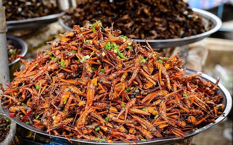 អាហារប្រចាំតំបន់ដ៏ពិសេសទាំង ១៥ មិនគួររំលងពេលមកខេត្ត Kon Tum អាហារប្រចាំតំបន់ដ៏ពិសេសទាំង ១៥ មិនគួររំលងនៅពេលមកខេត្ត Kon Tum