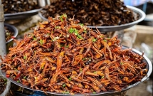 អាហារប្រចាំតំបន់ដ៏ពិសេសទាំង ១៥ មិនគួររំលងនៅពេលមកខេត្ត Kon Tum