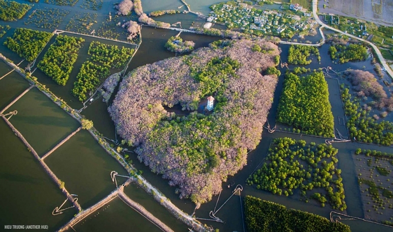 ចំណាប់អារម្មណ៍កំពូលទាំង ៧ របស់វៀតណាមឆ្នាំ ២០២២៖ មើលសម្រស់ដ៏ចម្លែករបស់ Hue ពីខាងលើ ចំណាប់អារម្មណ៍កំពូលទាំង ៧ របស់វៀតណាមឆ្នាំ ២០២២៖ គយគន់សម្រស់ដ៏ចម្លែករបស់ Hue ពីជ្រុងខាងលើ