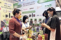 អ្នក​ជំនាញ​ថៃ​អំពាវនាវ​ឲ្យ​មាន​ការ​វិនិយោគ​នៅ​វៀតណាម និង​ឥណ្ឌា