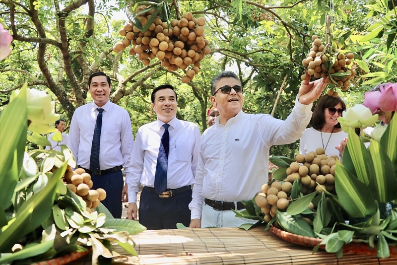 ផ្សព្វផ្សាយផ្លែមៀនប្រចាំតំបន់ Hung Yen ដល់អតិថិជនអន្តរជាតិនៅប្រទេសវៀតណាម ផ្សព្វផ្សាយផ្លែមៀនប្រចាំតំបន់ Hung Yen ដល់អតិថិជនអន្តរជាតិនៅប្រទេសវៀតណាម