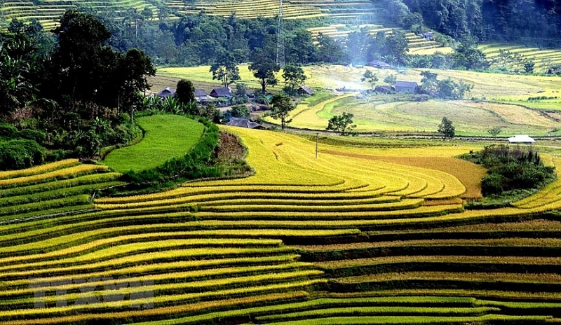 វាលស្រែតាមជម្រាលភ្នំដ៏ស្រស់ស្អាតដែលទាក់ទាញមនុស្សនៅតំបន់តាឡេង (Ta Leng) វាលស្រែតាមជម្រាលភ្នំដ៏ស្រស់ស្អាតដែលទាក់ទាញមនុស្សនៅតំបន់តាឡេង (Ta Leng)