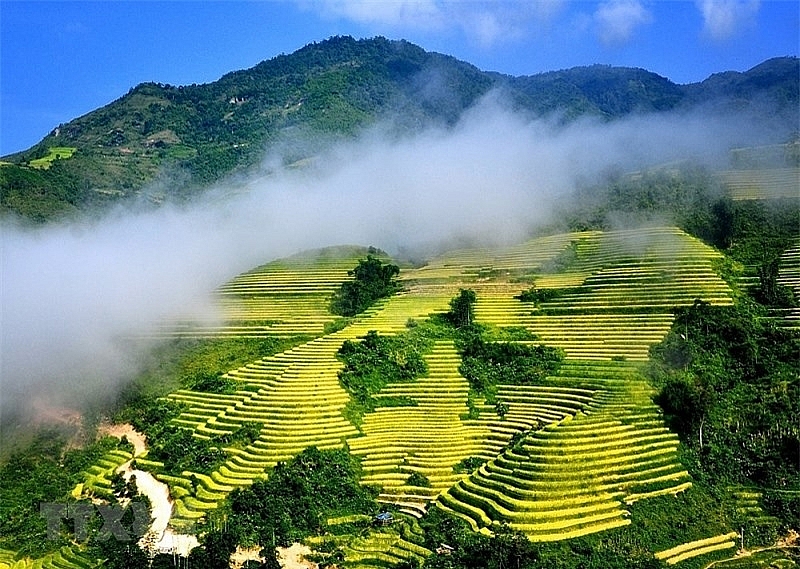 ជក់ចិត្តនឹងសម្រស់សាប៉ា (Sapa) នាពេលរដូវស្រូវទុំ
