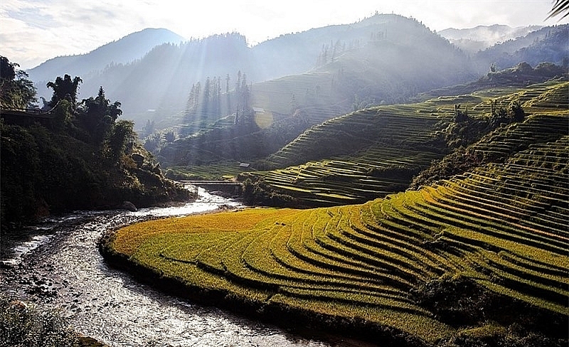 ជក់ចិត្តនឹងសម្រស់សាប៉ា (Sapa) នាពេលរដូវស្រូវទុំ