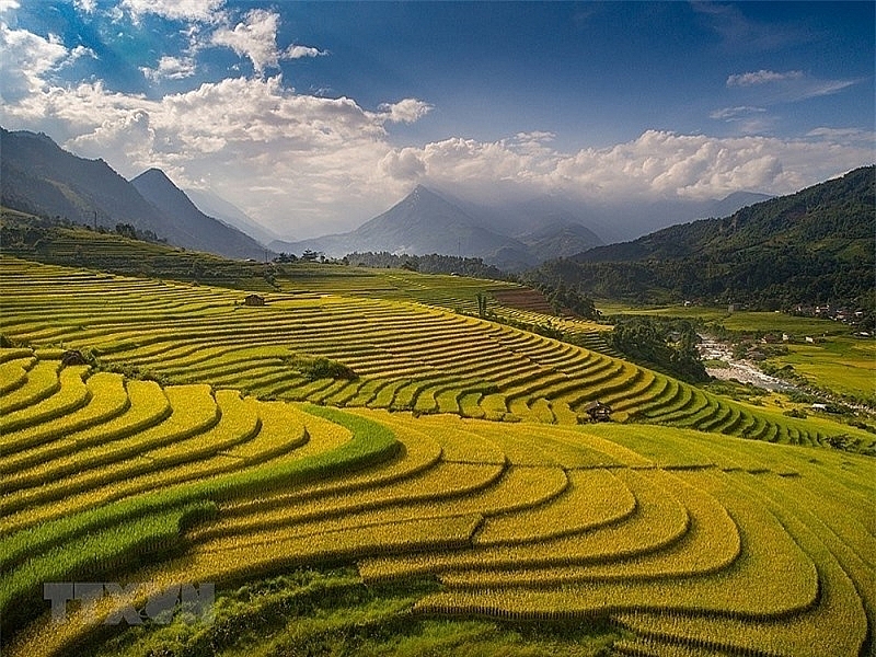 ជក់ចិត្តនឹងសម្រស់សាប៉ា (Sapa) នាពេលរដូវស្រូវទុំ