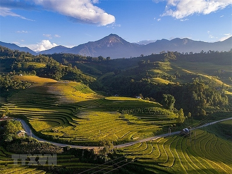 ជក់ចិត្តនឹងសម្រស់សាប៉ា (Sapa) នាពេលរដូវស្រូវទុំ