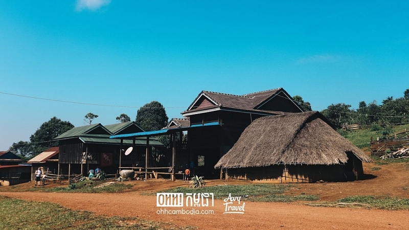 ចង់ទស្សនាដំរីក្នុងព្រៃធម្មជាតិ កុំភ្លេច​ចូលលេង​ភូមិពូតាំង ក្បែរក្រុងសែនមនោរម្យ ខេត្តមណ្ឌលគិរី