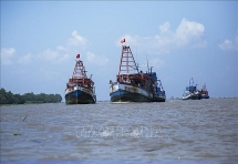 EC នឹងបើកកិច្ចប្រជុំតាមអ៊ីនធឺរណែតស្តីពីការដកកាតលឿង IUU សម្រាប់វៀតណាម