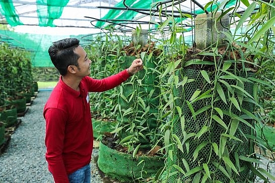 រីសត​សម្បូរសួនបន្លែ​ និង​ផ្ទះឈើ​ខ្មែរ​ប្រណីត ដំឡើងកសិដ្ឋានសូឡា​ផ្គាប់​ភ្ញៀវ​ស្រឡាញ់ធម្មជាតិ​​