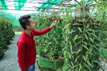 រីសត​សម្បូរសួនបន្លែ​ និង​ផ្ទះឈើ​ខ្មែរ​ប្រណីត ដំឡើងកសិដ្ឋានសូឡា​ផ្គាប់​ភ្ញៀវ​ស្រឡាញ់ធម្មជាតិ​​