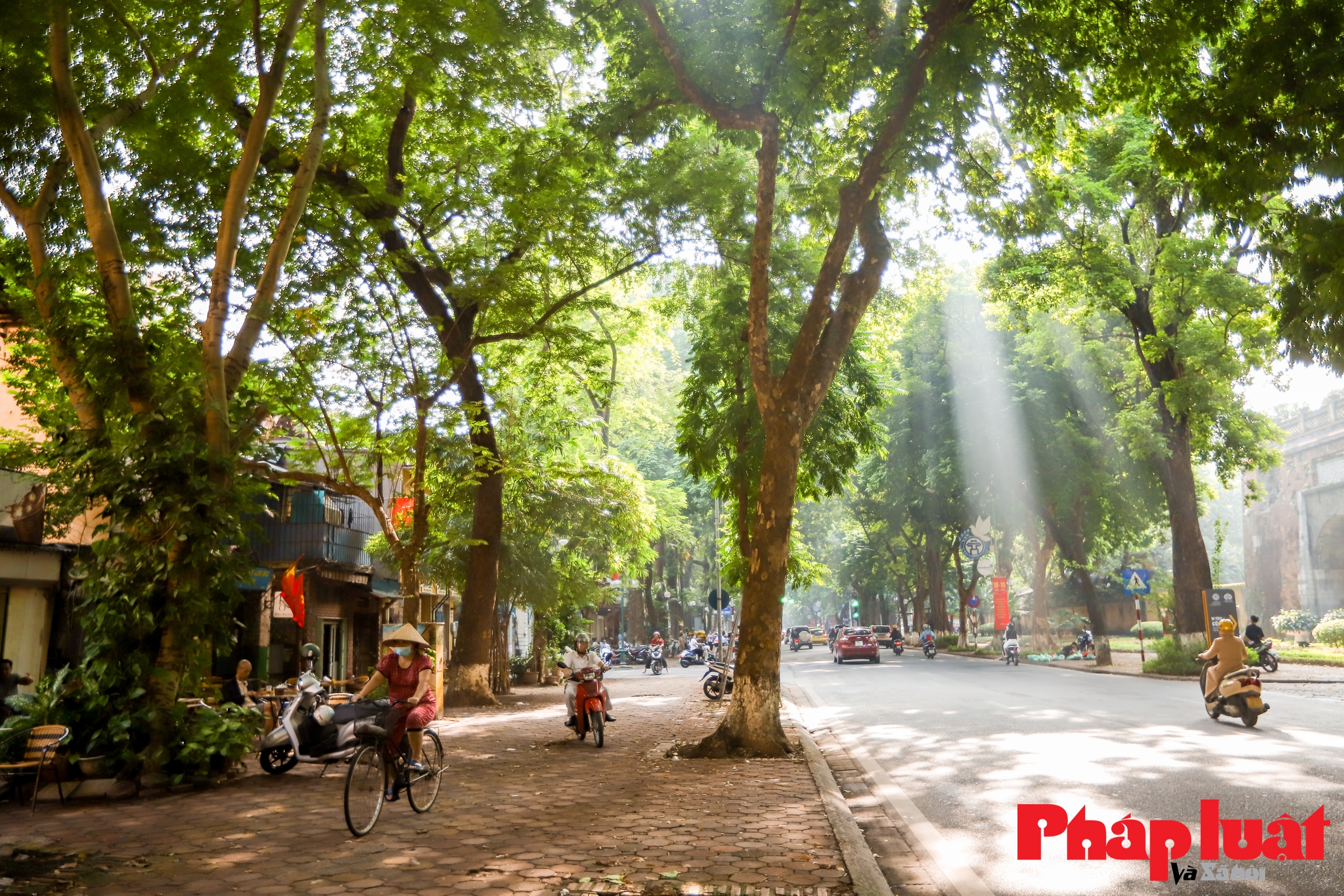 Hà Nội và những khoảnh khắc thu làm nao lòng người