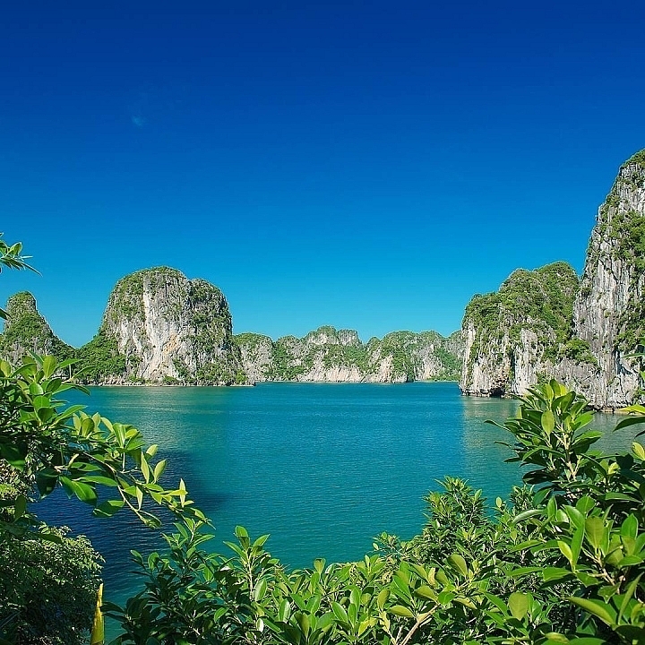 សម្រស់ដ៏ស្រស់បំព្រង មានមនុស្សតិចណាស់ដែលបោះជើងក្នុង 'ភ្នែកនាគ' នៅកណ្តាលឆ្នេរសមុទ្រហាឡុង សម្រស់ដ៏ស្រស់បំព្រង មានមនុស្សតិចណាស់ដែលបោះជើងក្នុង 'កោះភ្នែកនាគ' នៅកណ្តាលឆ្នេរសមុទ្រហាឡុង