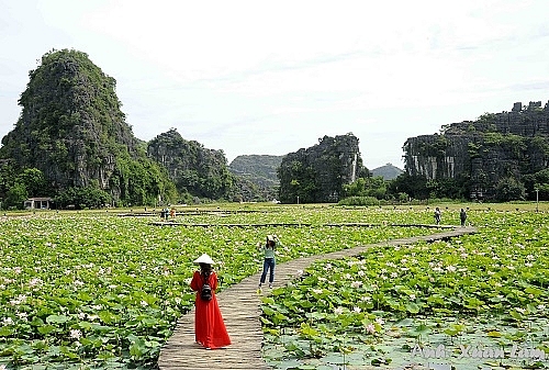 លង់ចិត្តជាមួយសម្រស់រដូវស្លឹកឈើជ្រុះនៅខេត្ត Ninh Binh