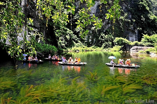 លង់ចិត្តជាមួយសម្រស់រដូវស្លឹកឈើជ្រុះនៅខេត្ត Ninh Binh
